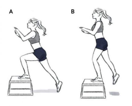 Subida no banco como fazer - Os 3 melhores Exercicios para aumentar pernas e Gluteos rapidamente - Comprovado!