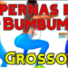 exercicios para aumentar pernas e gluteos rapidamente